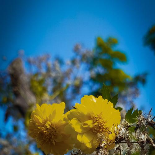 Photo #4188042