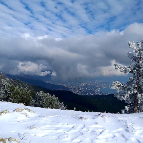 Photo #4188256