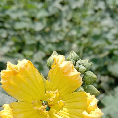 Photo #4188402