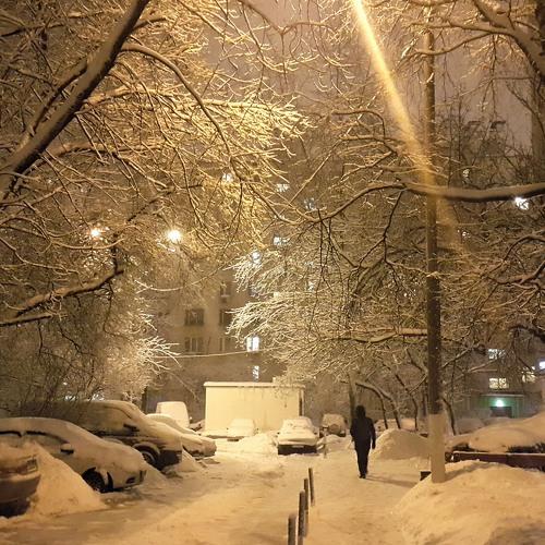 Photo #4188470