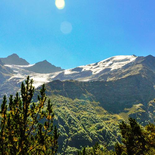 Photo #4188619