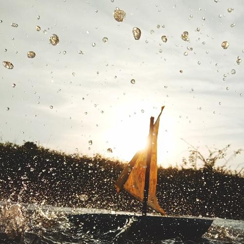 Photo #4189053