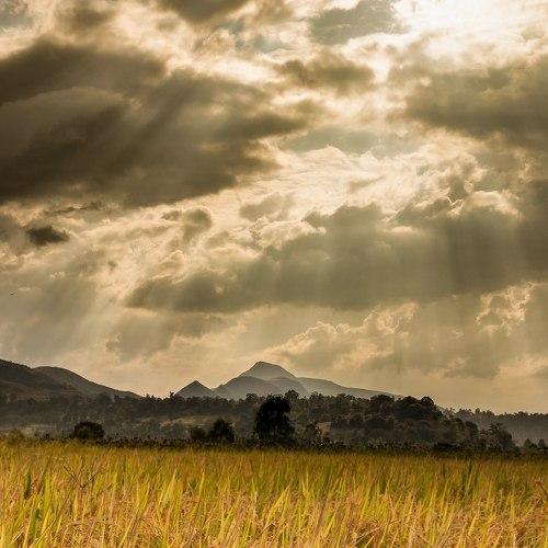 Earth Sky and Light