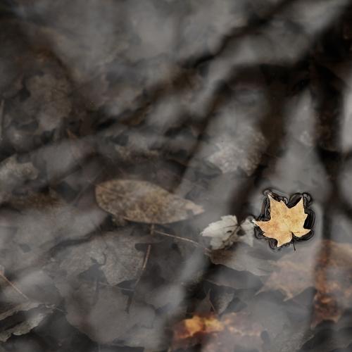 Photo #4189325