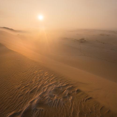 Photo #4189405