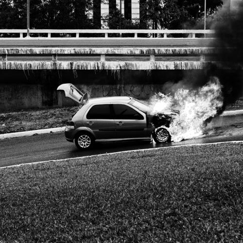 Photo #4189487