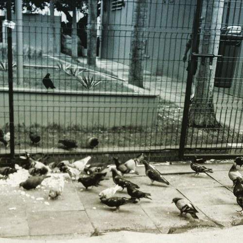 Photo #4189556
