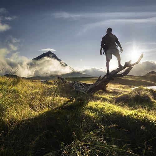 Photo #4189724