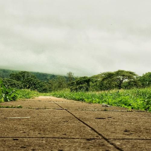 Road to happiness