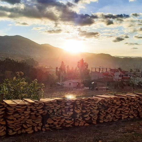 Photo #4190035