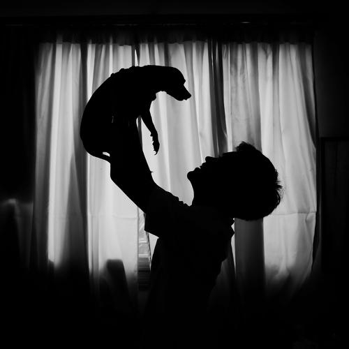 Photo #4190043