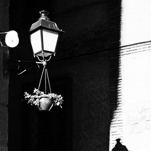 Photo #4190185
