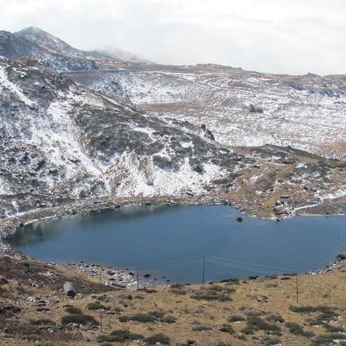 Photo #4190286