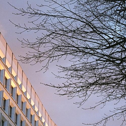 Photo #4190298