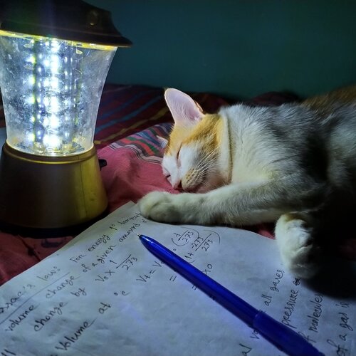 Tired!