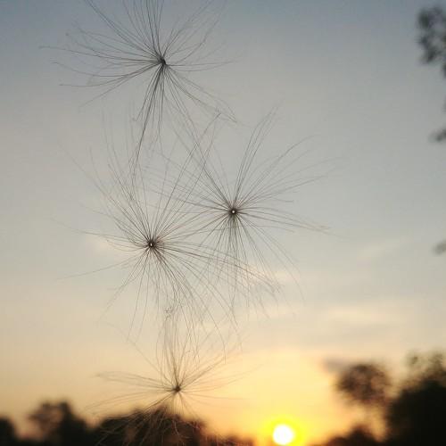 Photo #4191147