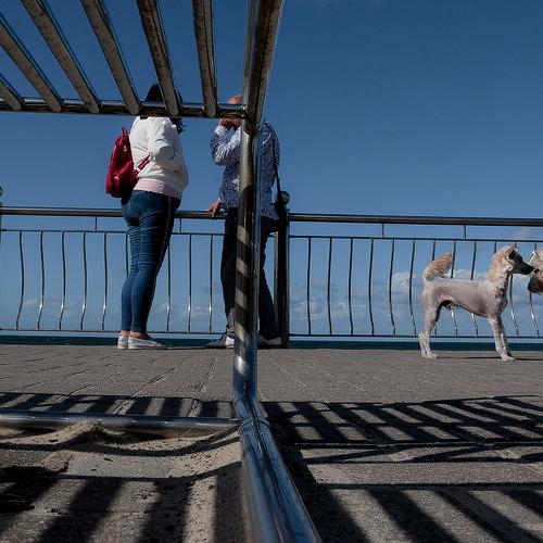 Photo #4191189
