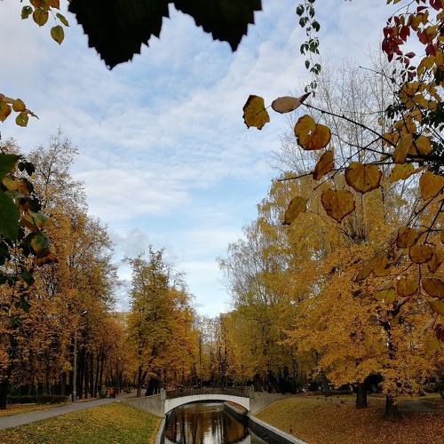 Photo #4191664