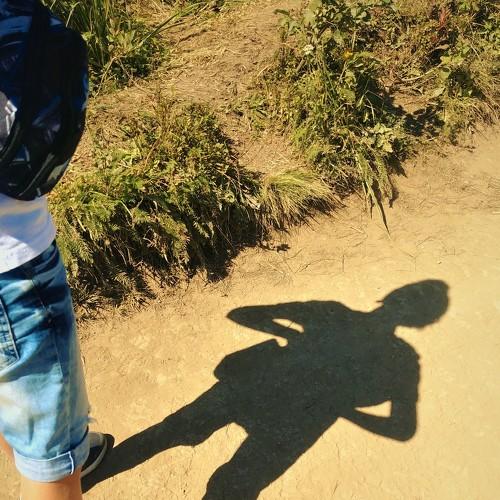 Photo #4191756