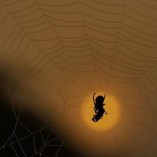 Photo #4192185