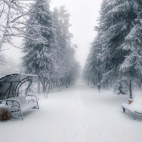 Photo #4192276