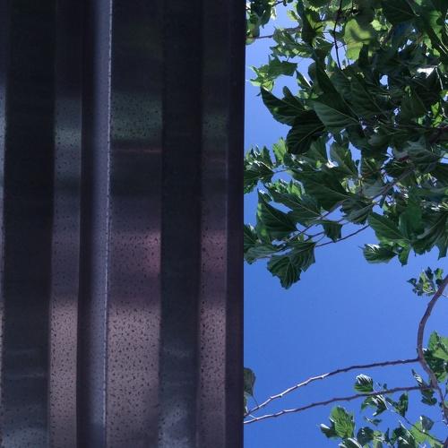 Photo #4192600