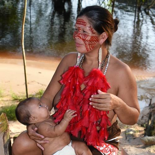 Photo #4192791