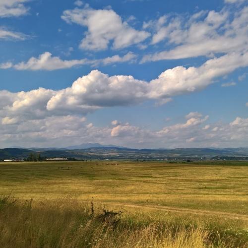 Photo #4192853