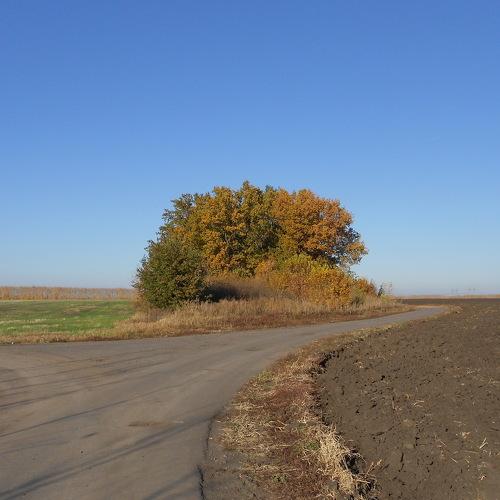 Photo #4192867
