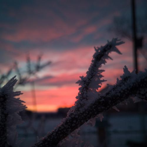 Photo #4192905
