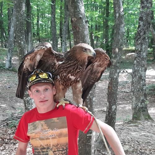 Photo #4192960