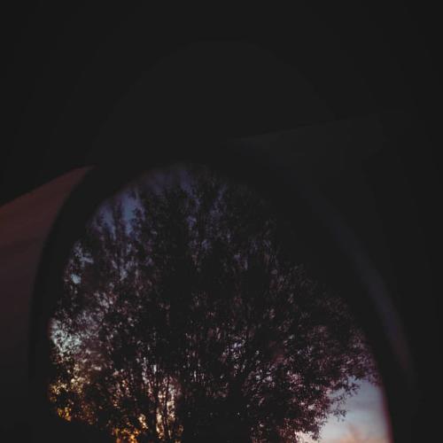 Photo #4192972