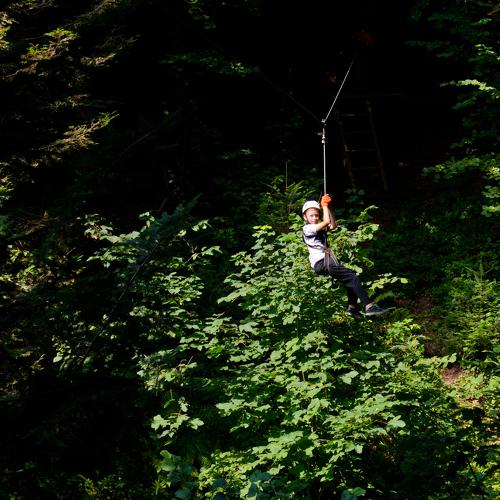 Photo #4193053