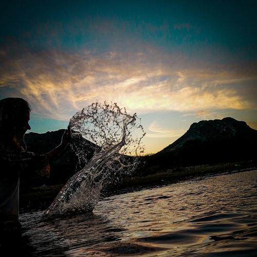 Photo #4193250