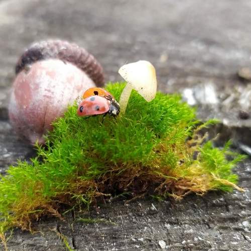 Photo #4193308
