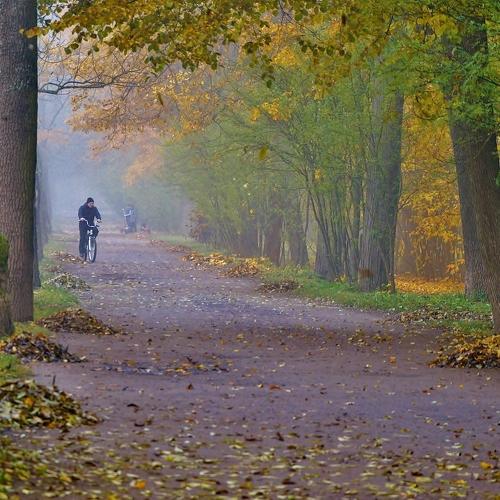 Утренний релакс в парке  ... )