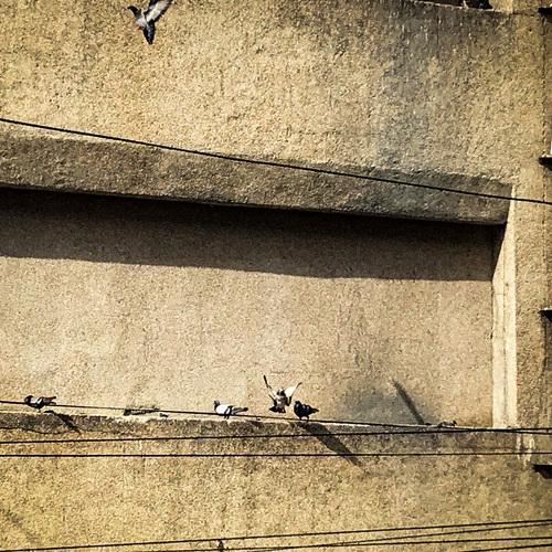Photo #4193422