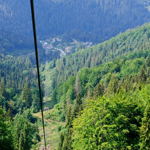Photo #4193530