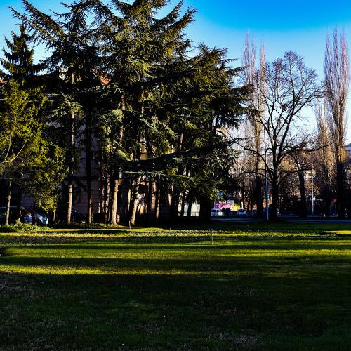 Photo #4193601