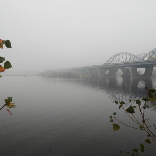 Photo #4193655
