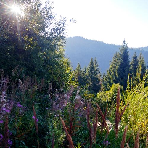 Photo #4193707