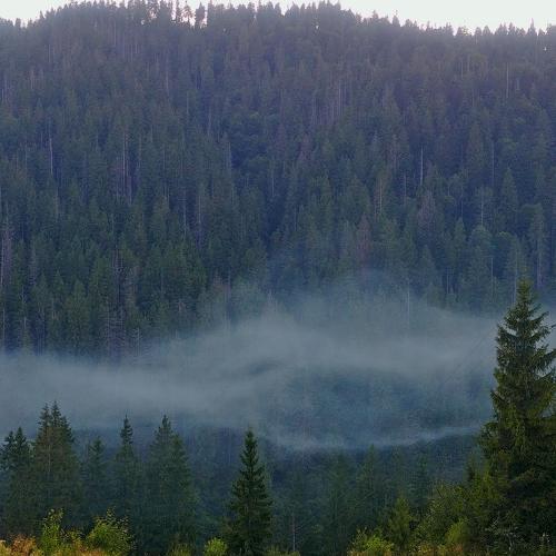Photo #4193711
