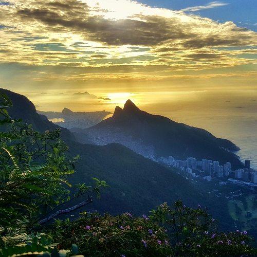 Photo #4194045
