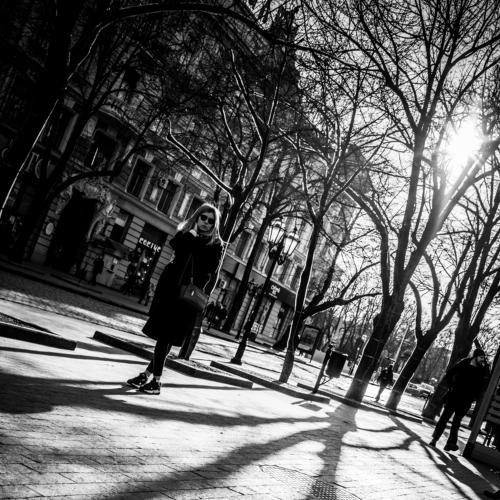 Photo #4194503