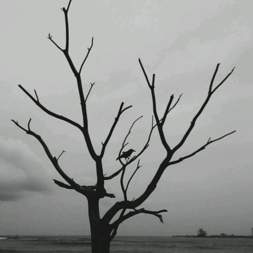Photo #4194551