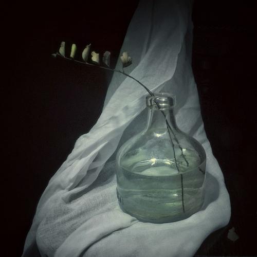 Photo #4194704