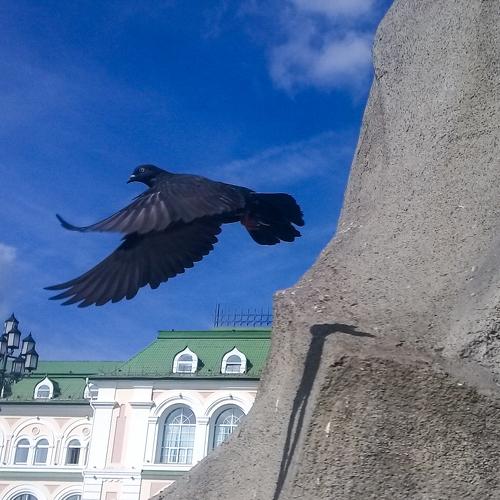 Photo #4194816