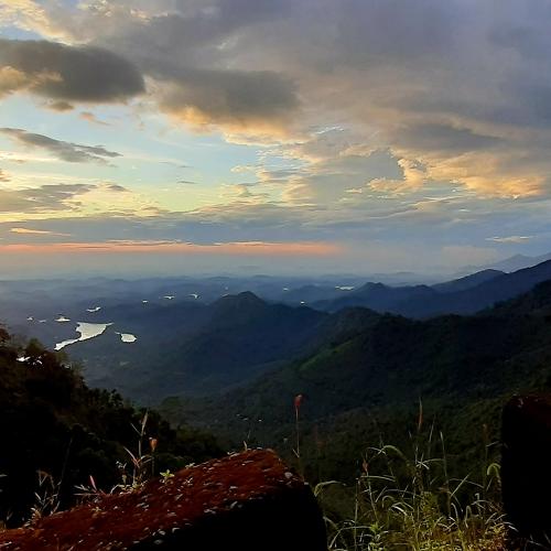 Photo #4194973