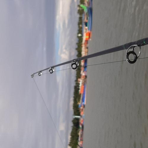 Photo #4194974