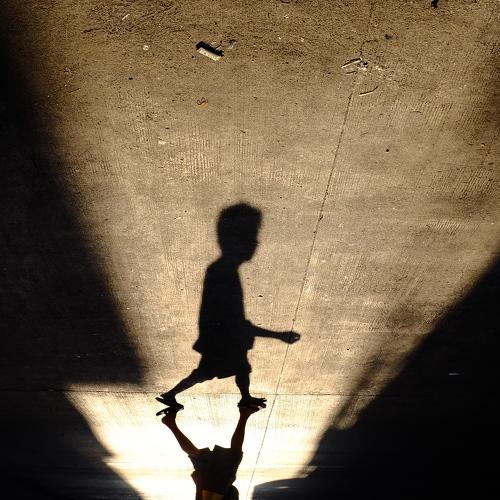 Photo #4195256